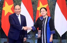 Presidente vietnamita se entrevista con dirigentes parlamentarios indonesios