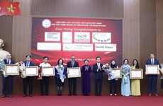 Siete ONG recibieron certificado de mérito por sus aportes al desarrollo de Vietnam