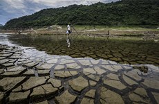ASEAN responde proactivamente al cambio climático