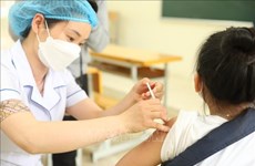 Vietnam registra 71 nuevos casos de COVID-19 este domingo