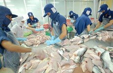 Países de ASEAN aumentan importaciones de pescado Tra de Vietnam