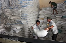 Suministran arroz para localidades vietnamitas en Año Nuevo Lunar