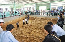 Reconoce Vietnam a otras cinco reliquias nacionales especiales
