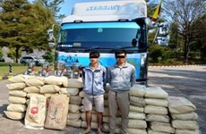 Decomisa Myanmar 1,35 toneladas de cafeína en estado de Shan