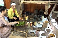 Vietnam presta atención especial a asuntos étnicos