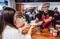 Indonesia desarrolla el turismo del café