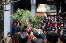 Recrearán en capital vietnamita antiguas costumbres del Año Nuevo Lunar