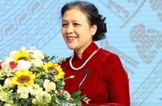 Diplomacia popular favorece desarrollo socioeconómico de Vietnam