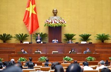 Parlamento de Vietnam debate Plan Maestro Nacional para el período 2021-2030