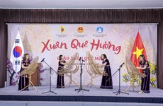 Vietnamitas en extranjero celebran fiestas por motivo del Tet