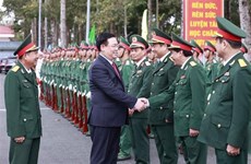 Presidente del Parlamento realiza visita previa al Tet a fuerzas armadas de provincia de An Giang