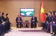 Premier recibe al presidente de Asociación de Amistad de Laos - Vietnam