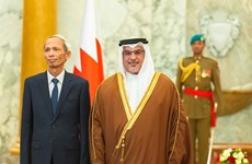 Vietnam y Bahréin por dinamizar relaciones