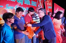 Comunidad vietnamita en Laos celebra Año Nuevo Lunar  