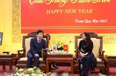 Provincia vietnamita aspira a profundizar cooperación con ciudades surcoreanas