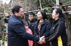 Premier de Vietnam exige garantizar un Tet seguro y feliz para pobladores