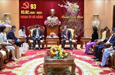 Ciudad vietnamita de Da Nang empeñada en atraer inversión extranjera