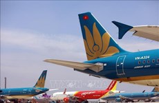 Aerolíneas vietnamitas garantizan seguridad del transporte durante el Tet