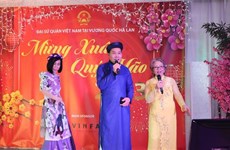 Vietnamitas en Países Bajos celebran fiesta de Tet