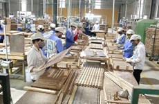 Vietnam por ingresar fondo multimillonario por exportación de madera
