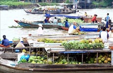 Mercado flotante, destino interesante para experimentar la vida en delta de Mekong