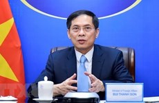 Resaltan aportes de diplomacia de Vietnam al desarrollo nacional