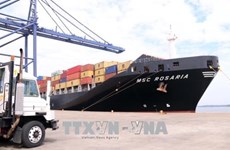 Puertos marítimos de Vietnam reciben grandes buques en el Tet