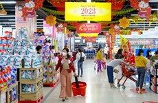 En alza ingresos por ventas minoristas y servicios de Vietnam en enero