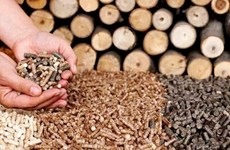 Exportación de pellets de madera de Vietnam, futuro y retos