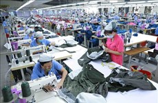 Número de nuevas empresas en Vietnam se reduce casi 17 por ciento