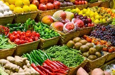 Vietnam por impulsar productos agrícolas a Unión Europea 