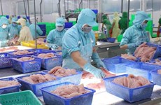 Exportadoras de productos acuícolas vietnamitas muestran expectativas de recuperación 