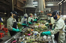 Mayoría de residuos domésticos urbanos de Vietnam se procesarán de forma segura en 2023