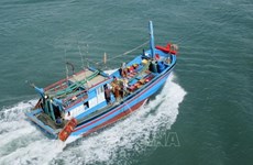 Comisión Europea reconoce esfuerzos de Vietnam en combate contra pesca ilegal