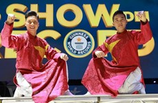 Acróbatas vietnamitas establecen otro récord Guinness