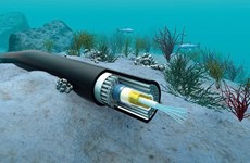 Vietnam necesita más cable submarino para garantizar demanda de conexión