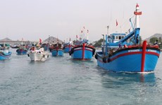Pescadores vietnamitas se esfuerzan por el levantamiento de “tarjeta amarilla”