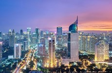  Crecimiento de Indonesia alcanza récord en nueve años