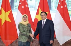 Elevan nivel cooperativo de Vietnam con Singapur y Brunei