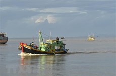 Provincia vietnamita de Binh Thuan refuerza lucha contra pesca ilegal 