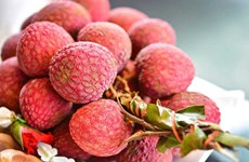 Australia, un mercado receptor importante de frutas vietnamitas