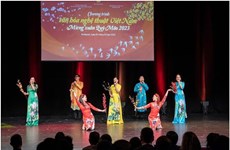 Vietnamitas en Hungría celebran programa artístico 