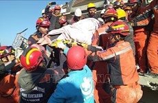 Embajada de Vietnam en Turquía participa en rescate tras terremotos
