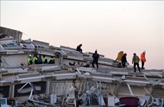 Extienden condolencias a vietnamitas afectados por terremoto en Turquía