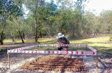 Provincia vietnamita de Quang Tri destruye 299 artefactos explosivos 
