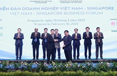 Grupo vietnamita de Masan autorizado para invertir en Singapur