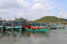 Vietnam emite Plan de acción para combatir pesca ilegal