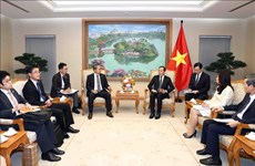 Viceprimer ministro urge a pronta firma de acuerdo AOD entre Vietnam y Japón