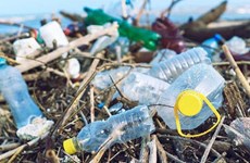 Vietnam lanza proyecto para reducir residuos plásticos en esfera turística