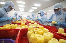 Exportación de frutas y verduras de Vietnam experimenta señales positivas
